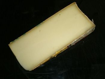 Fontina