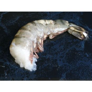 Black Tiger-Crevetten roh Eden Shrimps