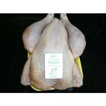 Freilandpoulet KAGfreiland