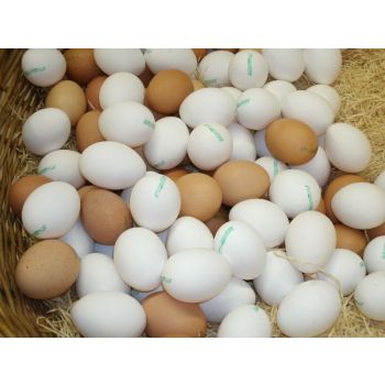 Eier roh KAGfreiland