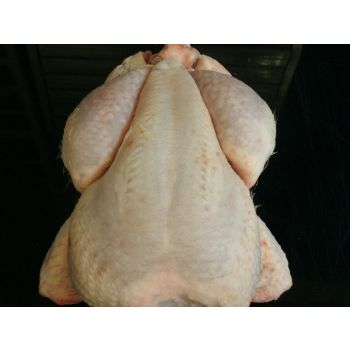 Poulet frifag