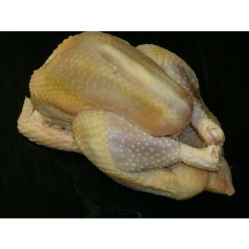 Suppenhuhn KAGfreiland